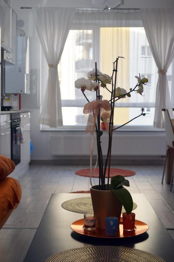Aki Studio Apartment Brasov Bagian luar foto